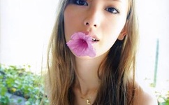 哪里可以看金瓶梅